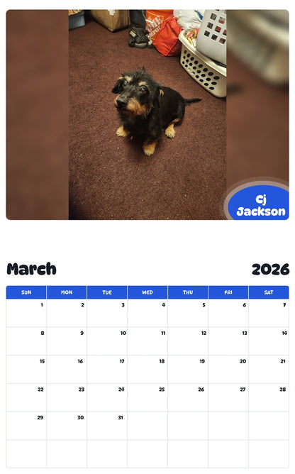 November 2025 - October 2026 Cj Jackson - Pawidols Pet Calendar
