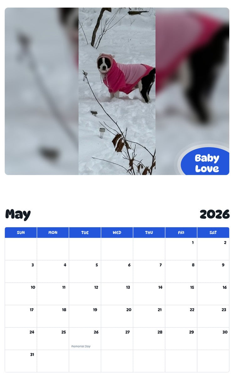 2026 - 2027 Baby Love - Pawidols Pet Calendar