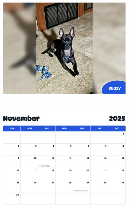 July 2025 - June 2026 Bugsy - Pawidols Pet Calendar