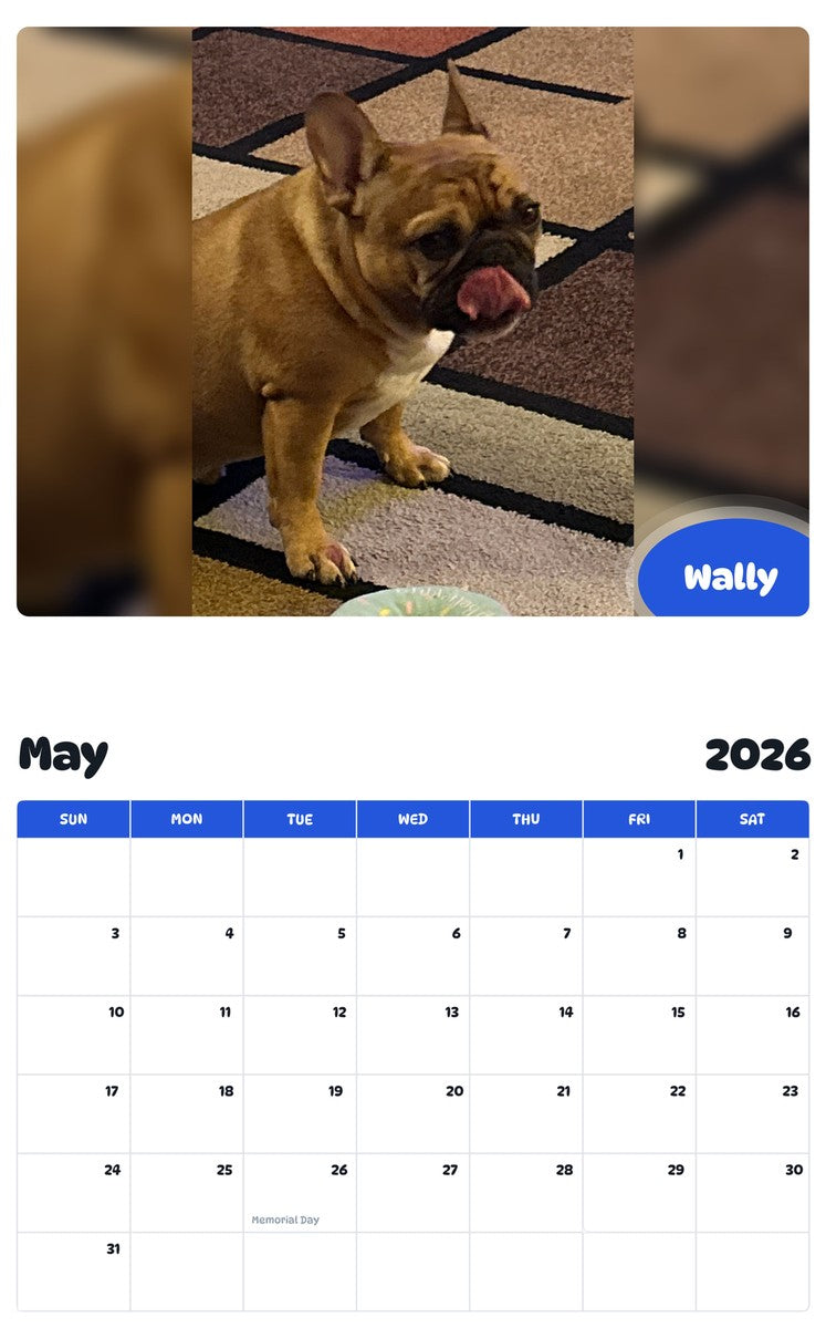 2026 - 2027 Wally - Pawidols Pet Calendar