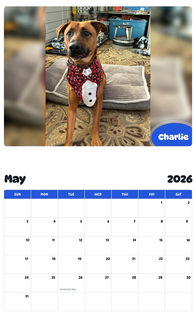 2026 - 2027 Charlie - Pawidols Pet Calendar
