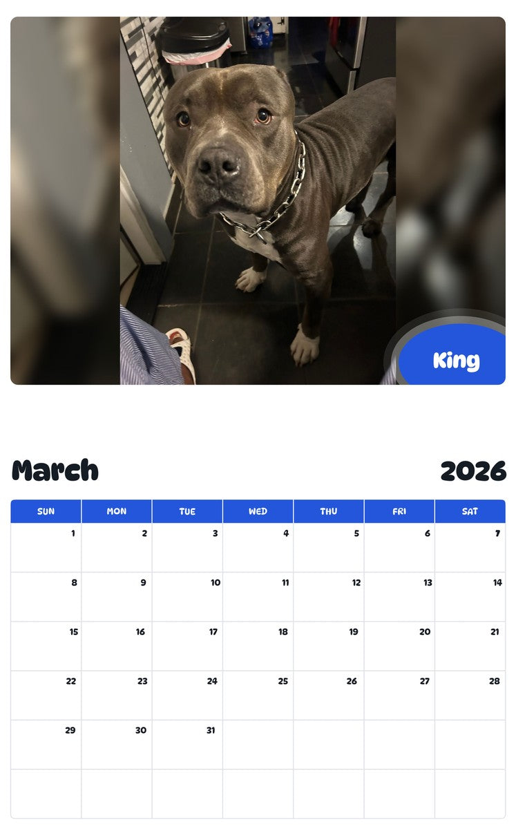 November 2025 - October 2026 King - Pawidols Pet Calendar