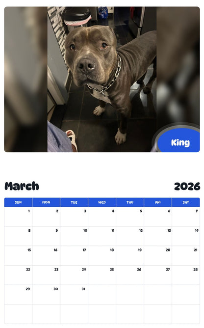 November 2025 - October 2026 King - Pawidols Pet Calendar