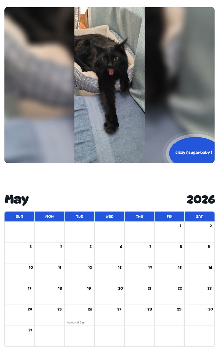 2026 - 2027 Lizzy ( sugar baby ) - Pawidols Pet Calendar