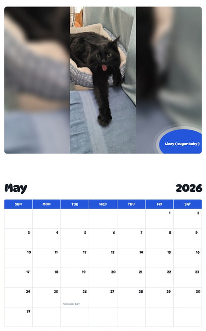2026 - 2027 Lizzy ( sugar baby ) - Pawidols Pet Calendar