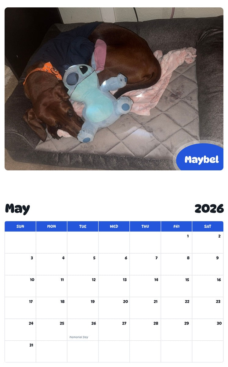 2026 - 2027 Maybel - Pawidols Pet Calendar