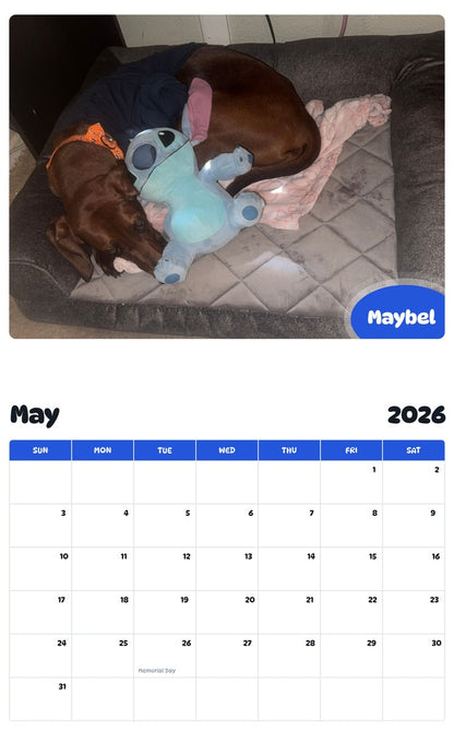2026 - 2027 Maybel - Pawidols Pet Calendar