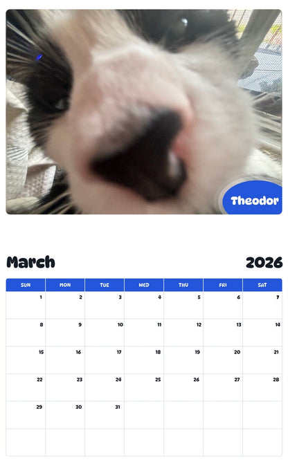 November 2025 - October 2026 Theodor - Pawidols Pet Calendar