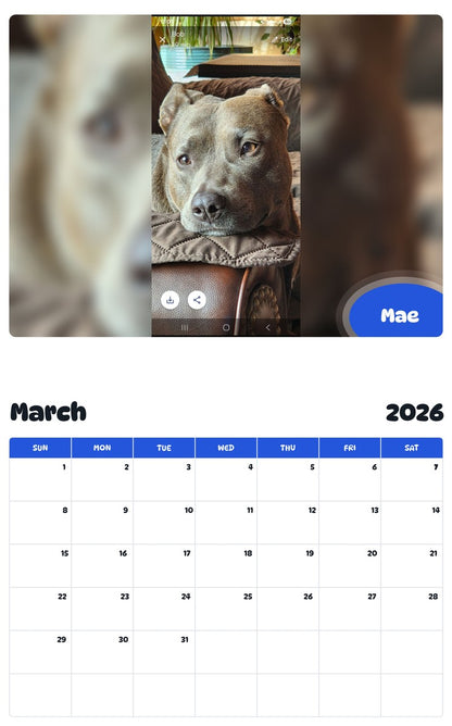 November 2025 - October 2026 Mae - Pawidols Pet Calendar