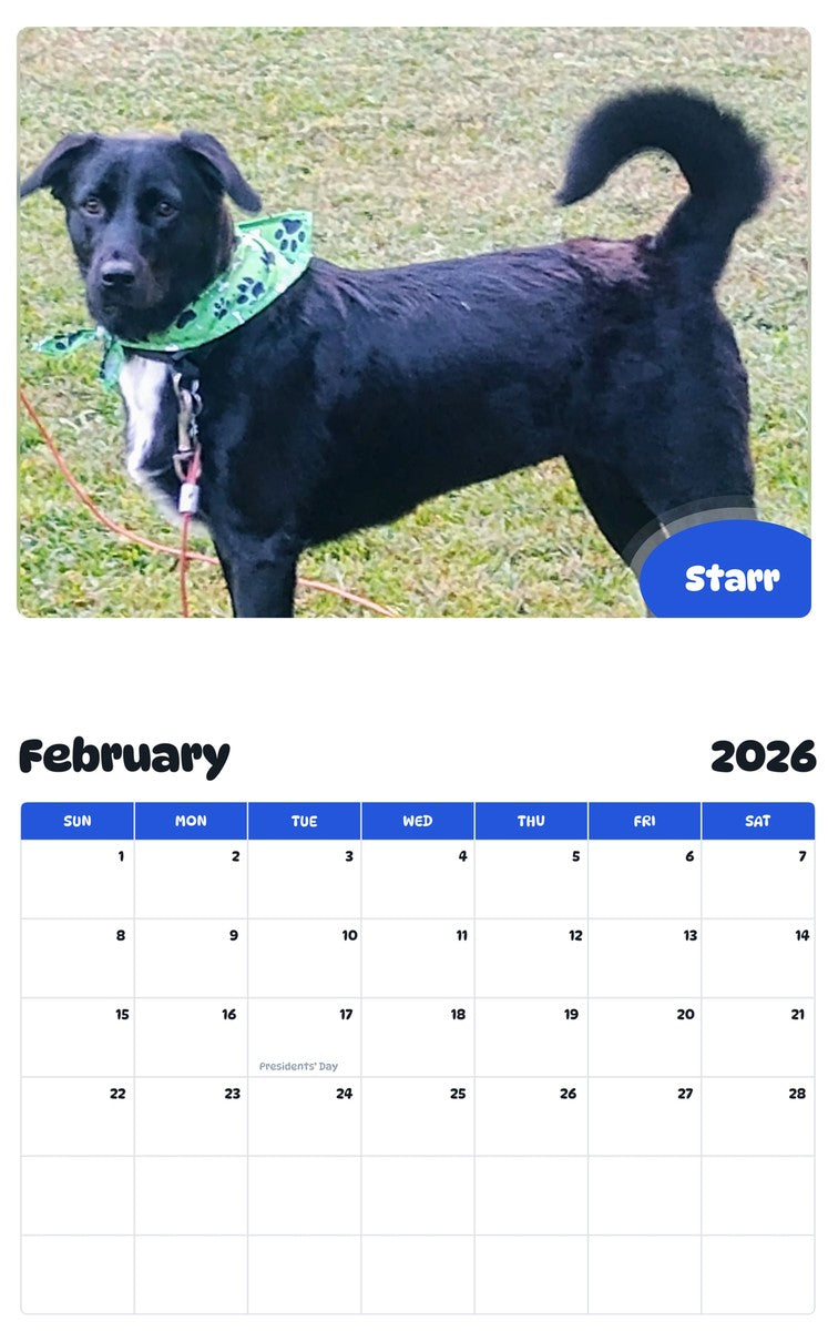 October 2025 - September 2026 Starr - Pawidols Pet Calendar