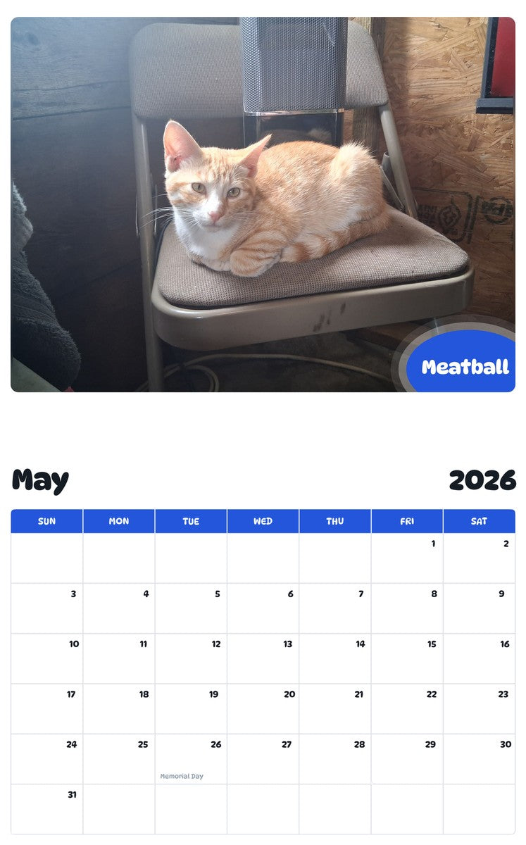 2026 - 2027 Meatball - Pawidols Pet Calendar