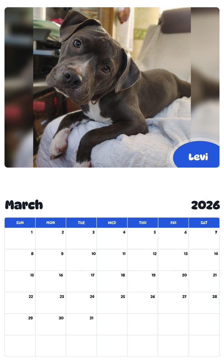 November 2025 - October 2026 Levi - Pawidols Pet Calendar