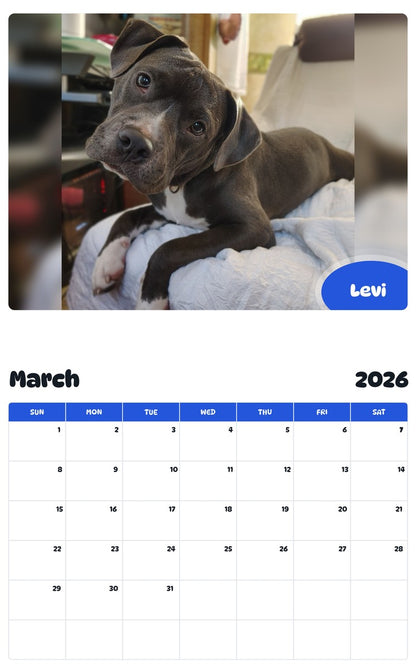 November 2025 - October 2026 Levi - Pawidols Pet Calendar
