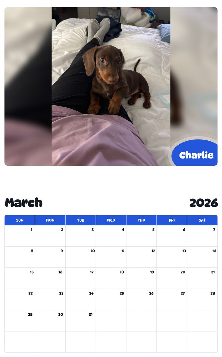 November 2025 - October 2026 Charlie - Pawidols Pet Calendar