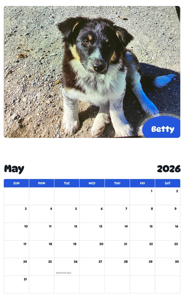 2026 - 2027 Betty - Pawidols Pet Calendar