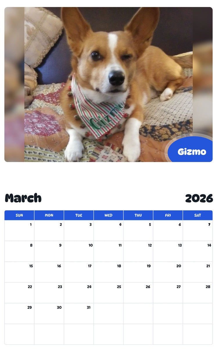 November 2025 - October 2026 Gizmo - Pawidols Pet Calendar
