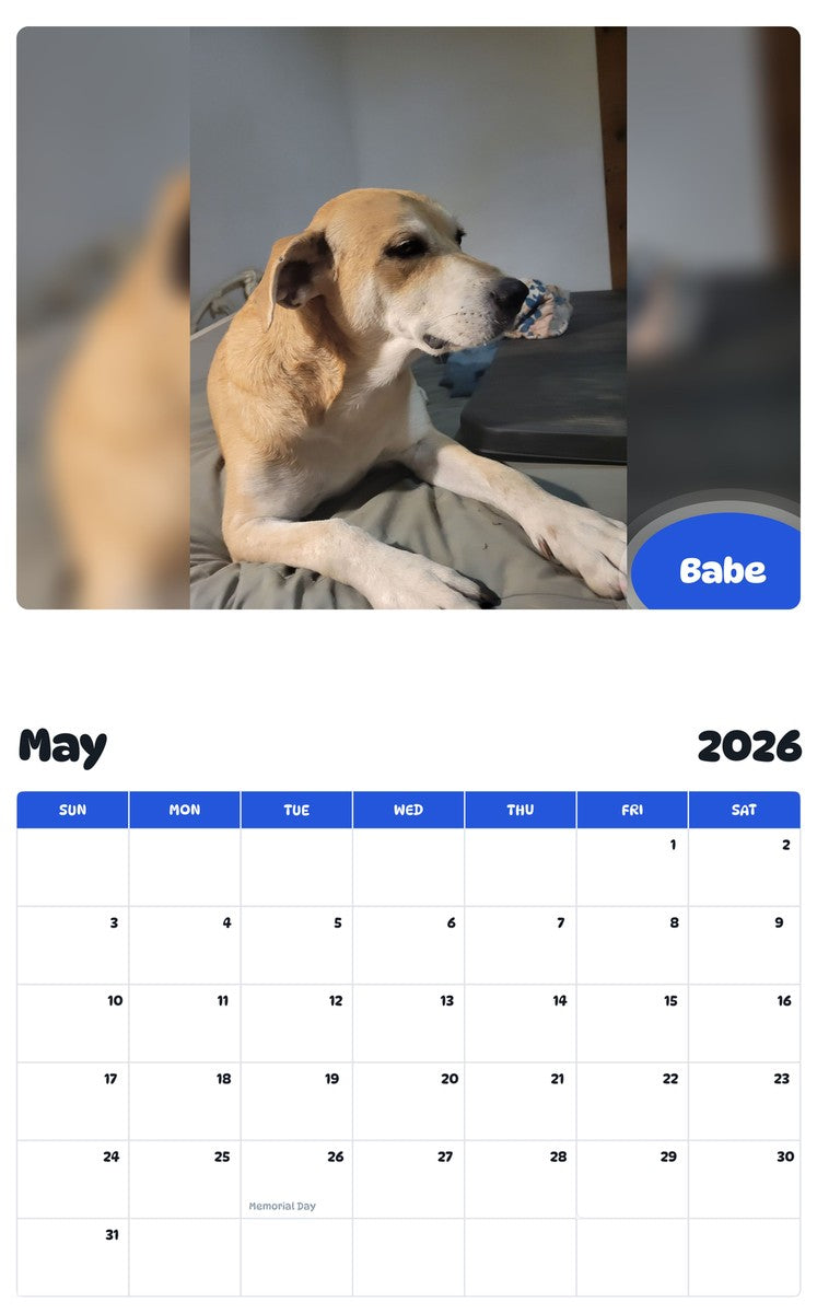 2026 - 2027 Babe - Pawidols Pet Calendar