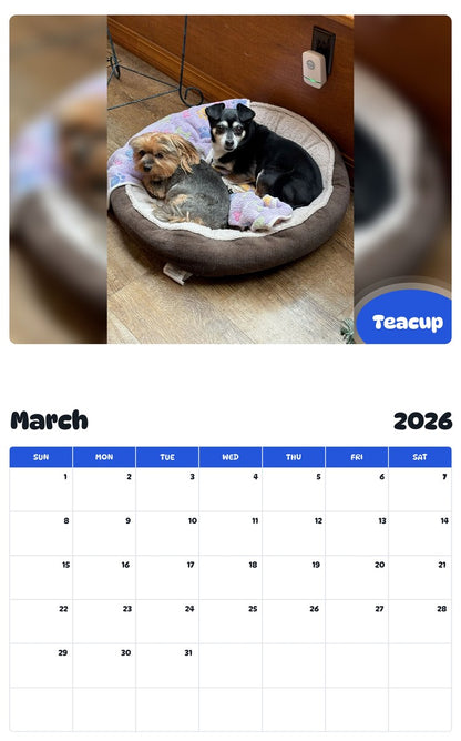 November 2025 - October 2026 Teacup - Pawidols Pet Calendar