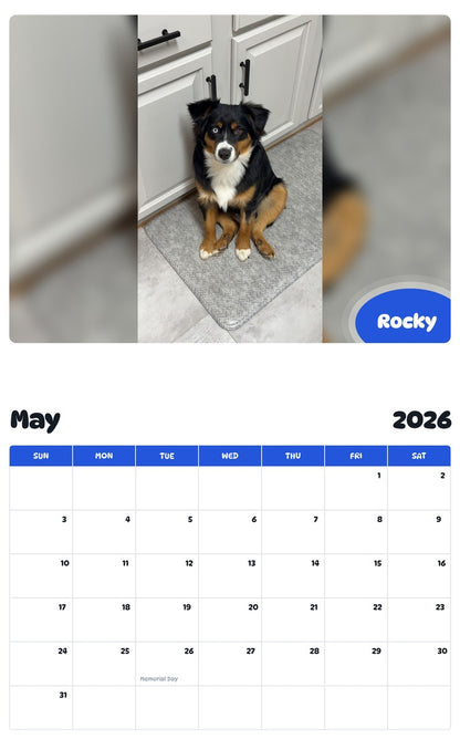 2026 - 2027 Rocky - Pawidols Pet Calendar