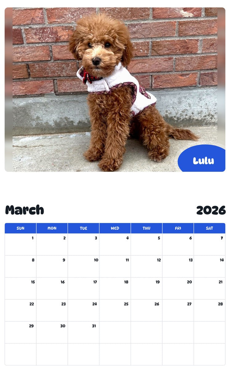 November 2025 - October 2026 Lulu - Pawidols Pet Calendar