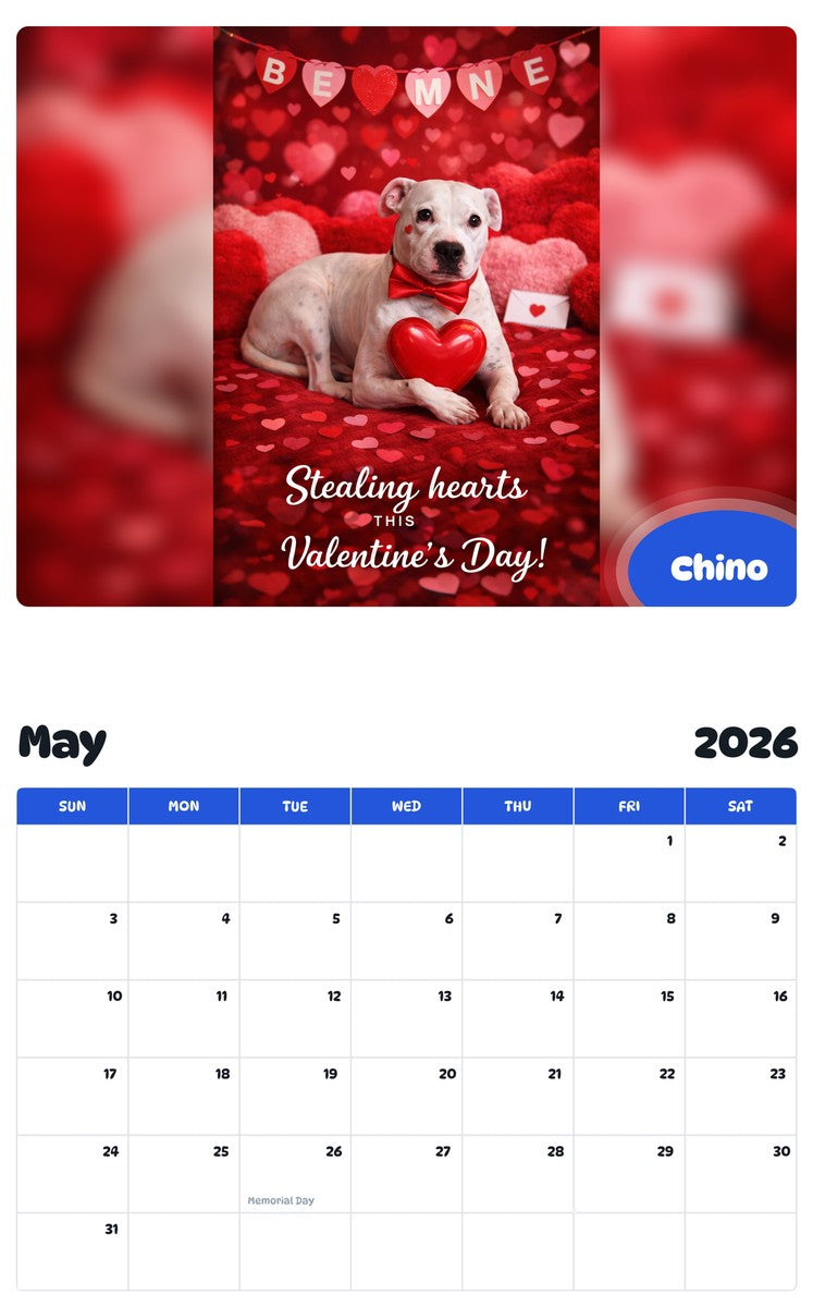 2026 - 2027 Chino - Pawidols Pet Calendar