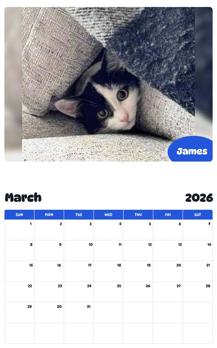 November 2025 - October 2026 James - Pawidols Pet Calendar