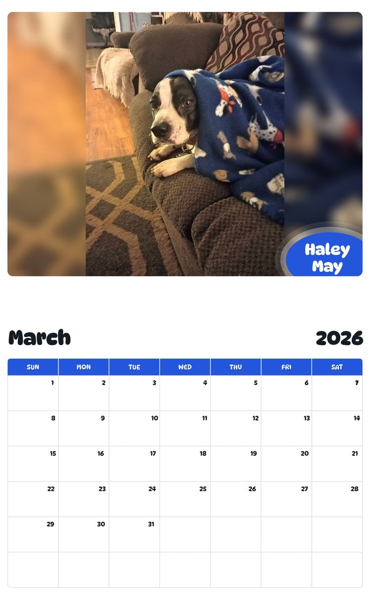 November 2025 - October 2026 Haley May - Pawidols Pet Calendar