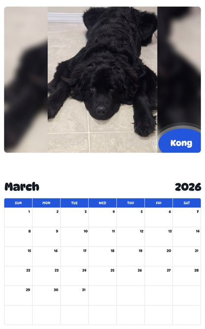 November 2025 - October 2026 Kong - Pawidols Pet Calendar
