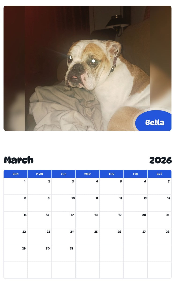 November 2025 - October 2026 Bella - Pawidols Pet Calendar