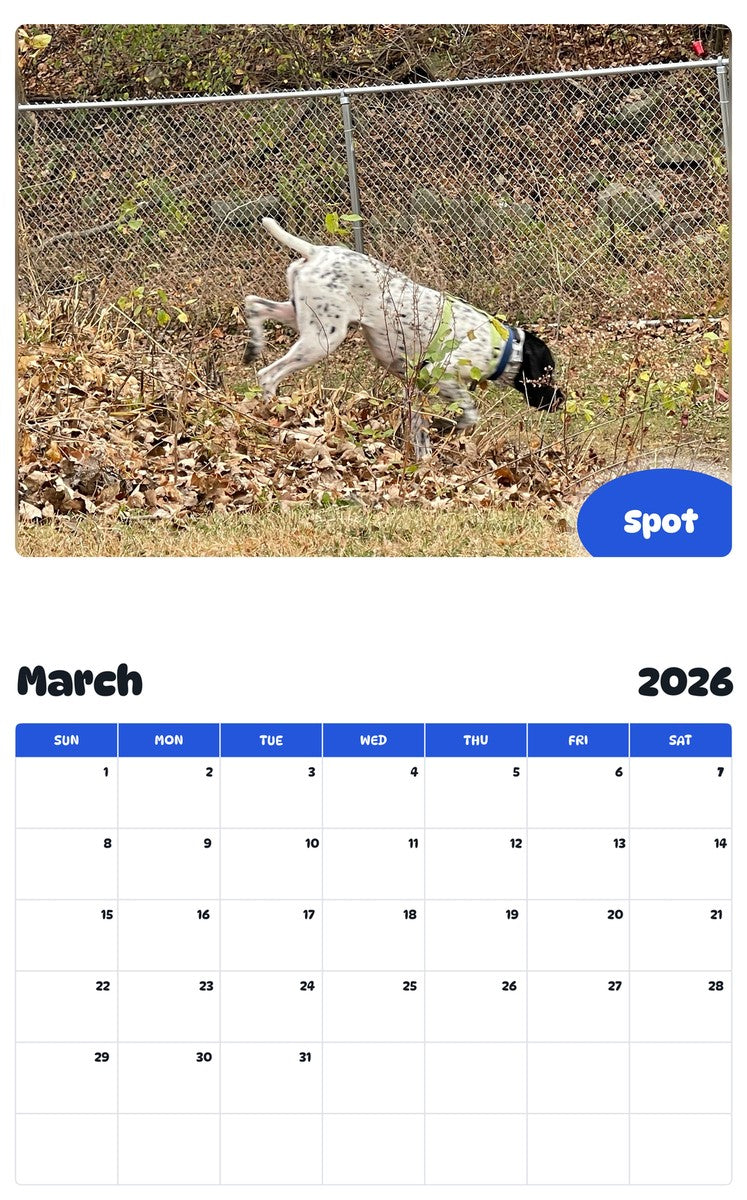 November 2025 - October 2026 Spot - Pawidols Pet Calendar