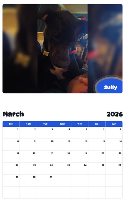 November 2025 - October 2026 Sully - Pawidols Pet Calendar