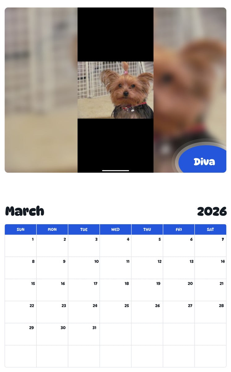 November 2025 - October 2026 Diva - Pawidols Pet Calendar