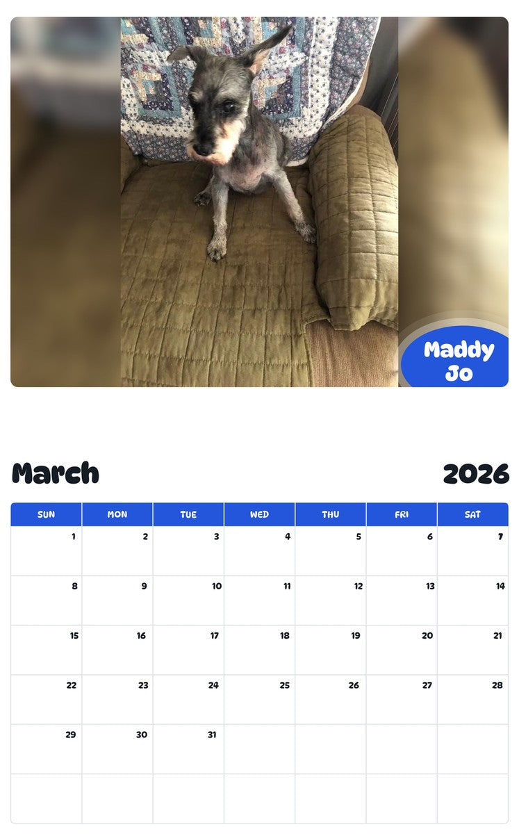 November 2025 - October 2026 Maddy Jo - Pawidols Pet Calendar