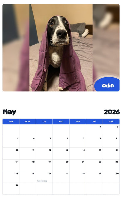 2026 - 2027 Odin - Pawidols Pet Calendar