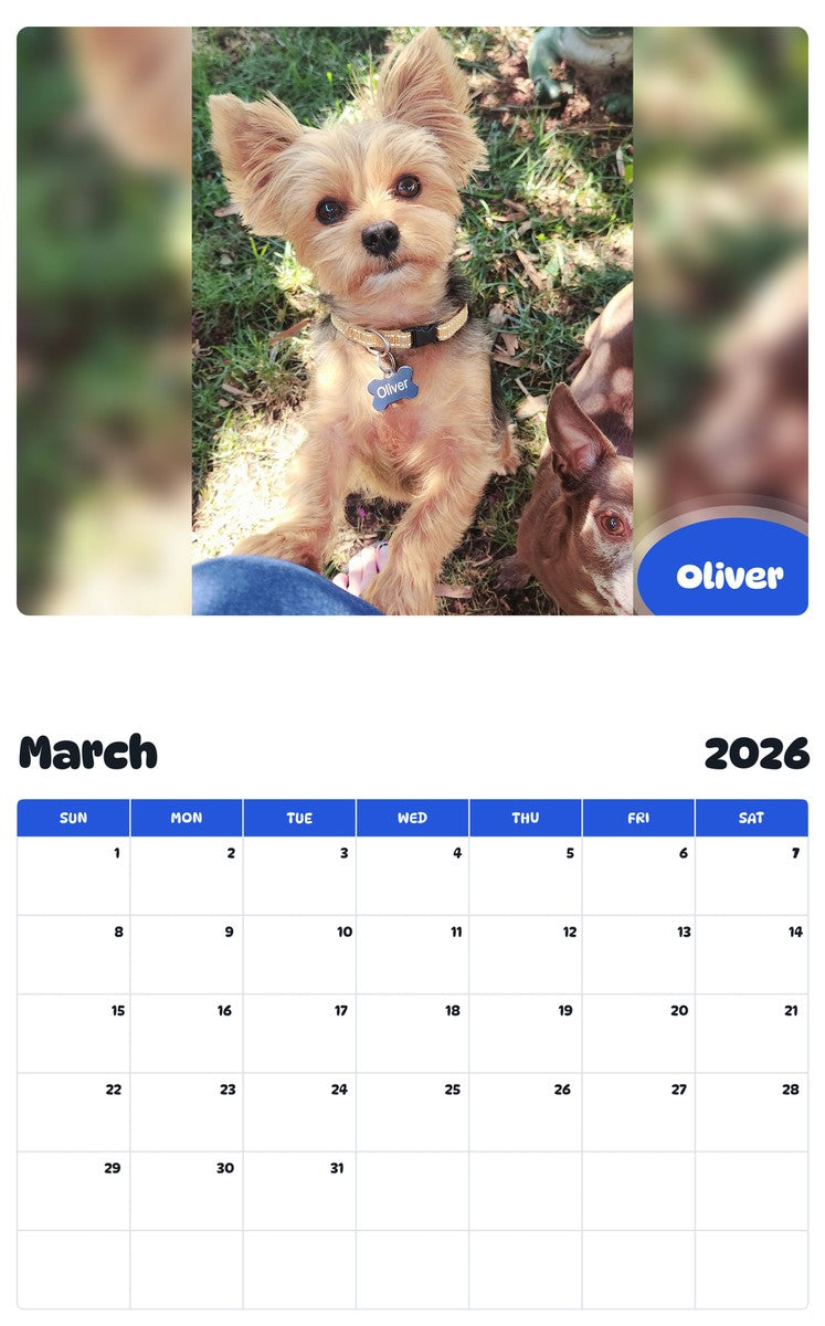 November 2025 - October 2026 Oliver - Pawidols Pet Calendar