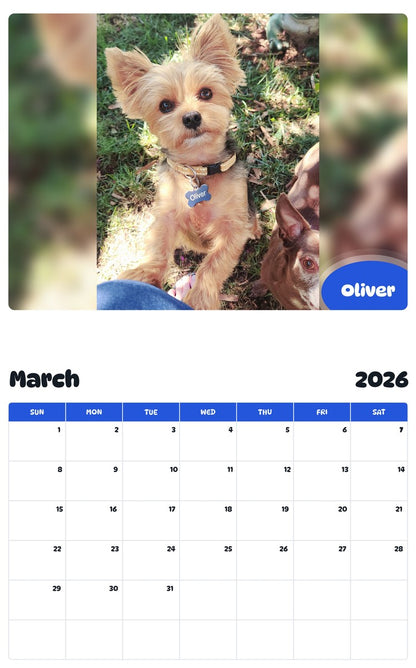 November 2025 - October 2026 Oliver - Pawidols Pet Calendar