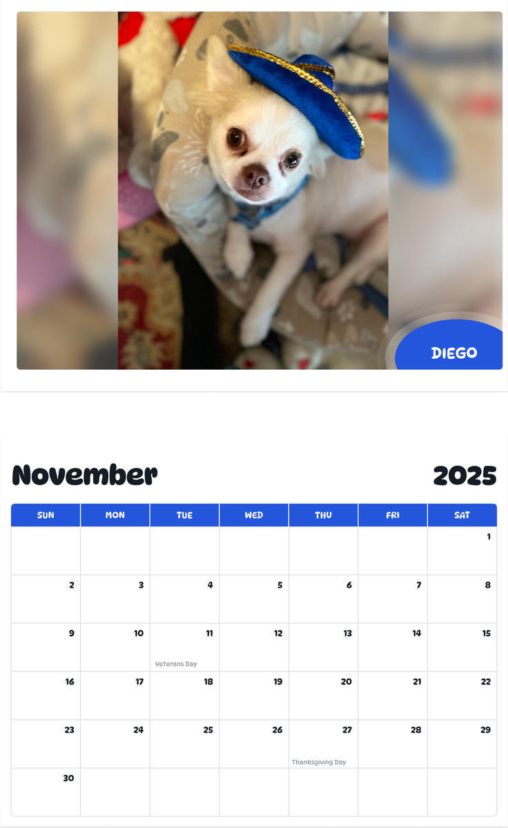 July 2025 - June 2026 Diego - Pawidols Pet Calendar