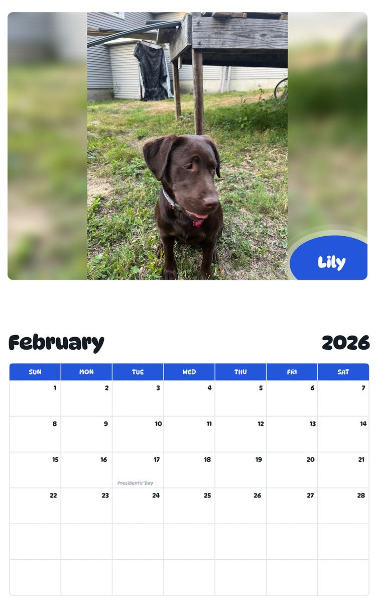 November 2025 - October 2026 Lily - Pawidols Pet Calendar