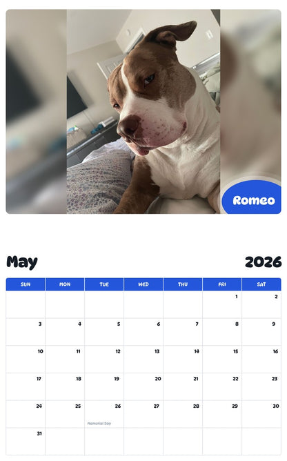 2026 - 2027 Romeo - Pawidols Pet Calendar