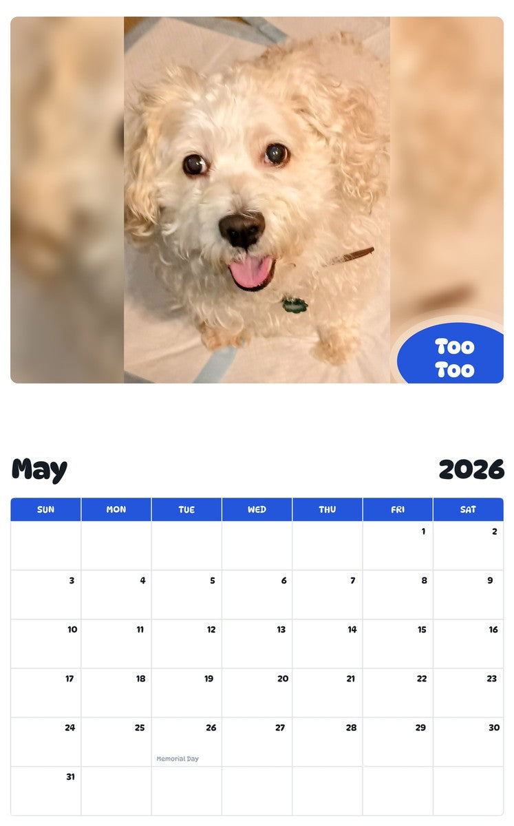 2026 - 2027 Too Too - Pawidols Pet Calendar