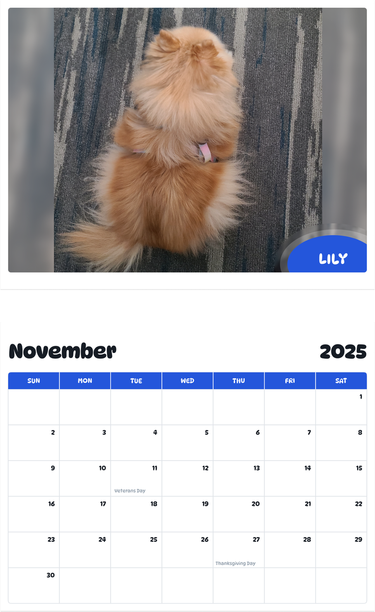 July 2025 - June 2026 Lily - Pawidols Pet Calendar