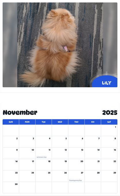 July 2025 - June 2026 Lily - Pawidols Pet Calendar