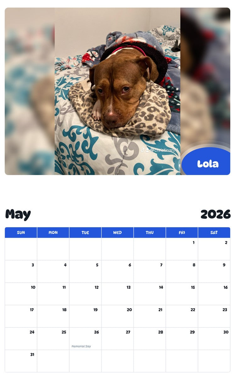 2026 - 2027 Lola - Pawidols Pet Calendar