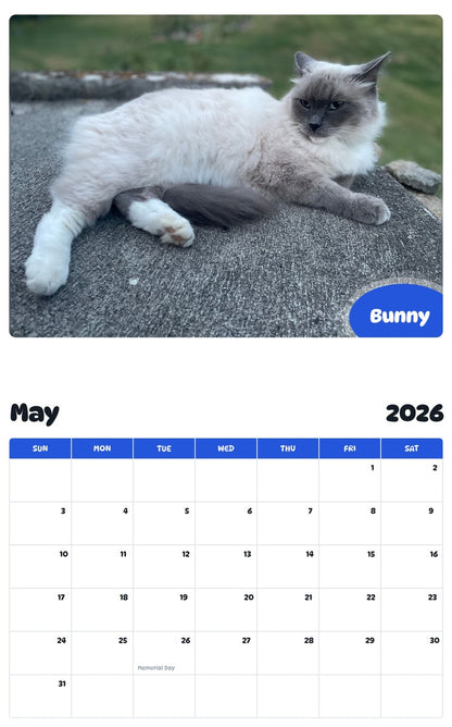 2026 - 2027 Bunny - Pawidols Pet Calendar