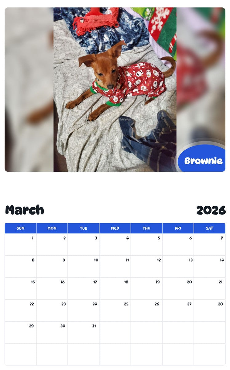November 2025 - October 2026 Brownie - Pawidols Pet Calendar