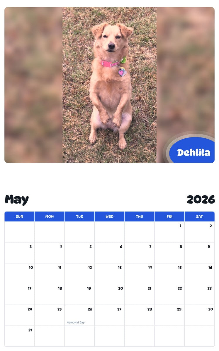 2026 - 2027 Dehlila - Pawidols Pet Calendar