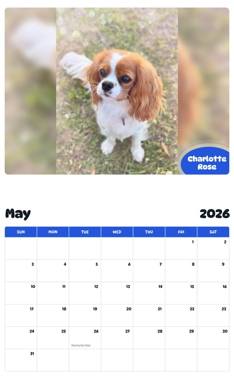 2026 - 2027 Charlotte Rose - Pawidols Pet Calendar