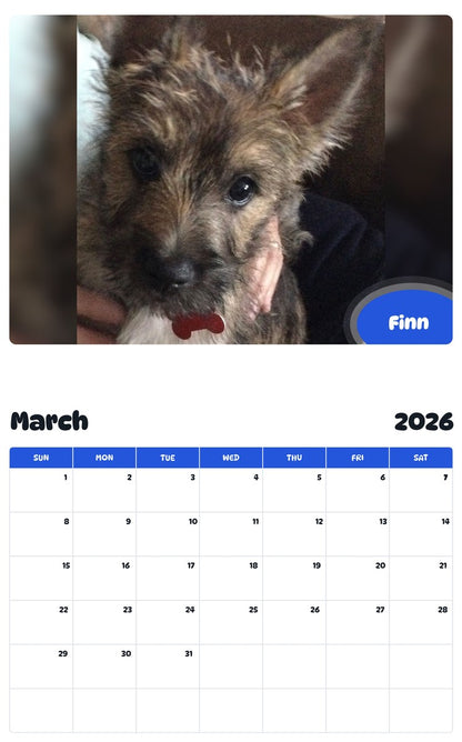 November 2025 - October 2026 Finn - Pawidols Pet Calendar