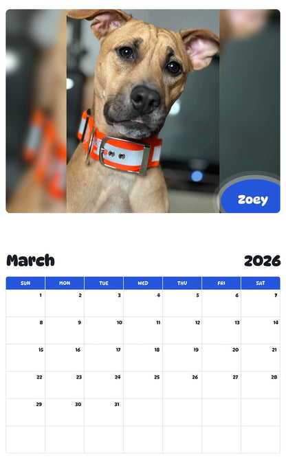 November 2025 - October 2026 Zoey - Pawidols Pet Calendar