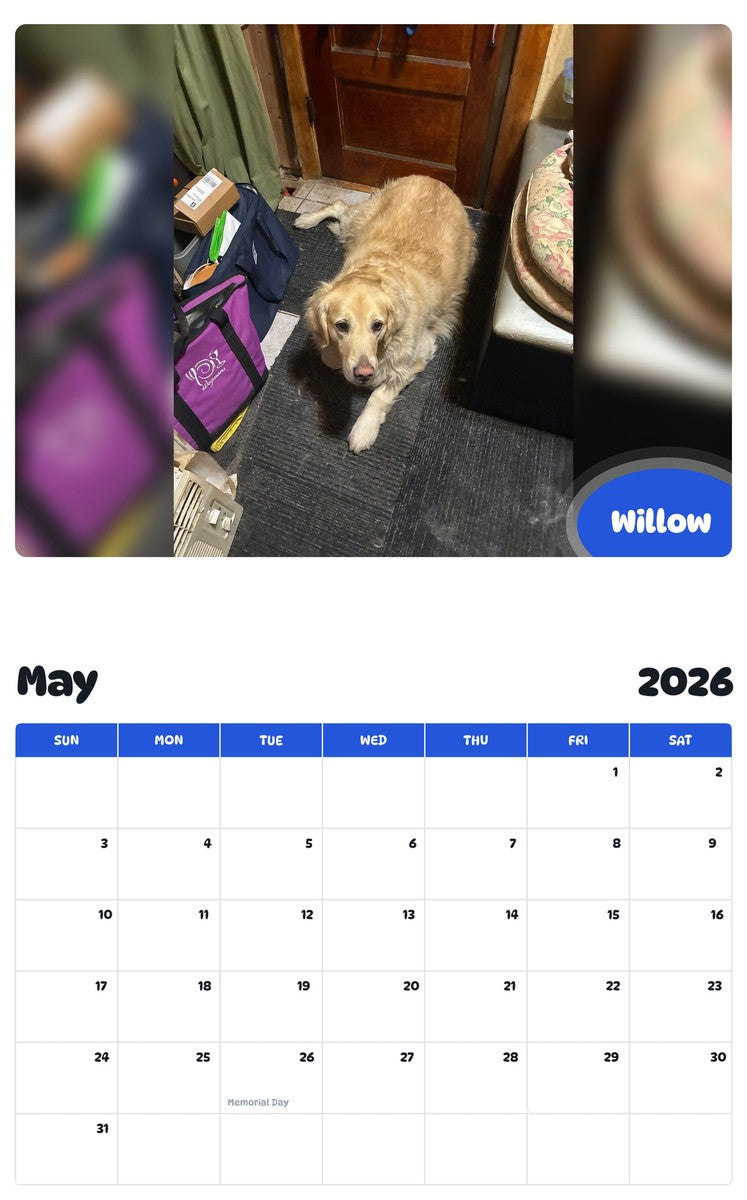 2026 - 2027 Willow - Pawidols Pet Calendar